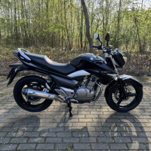 Suzuki GW250 Inazuma (A2 motor)